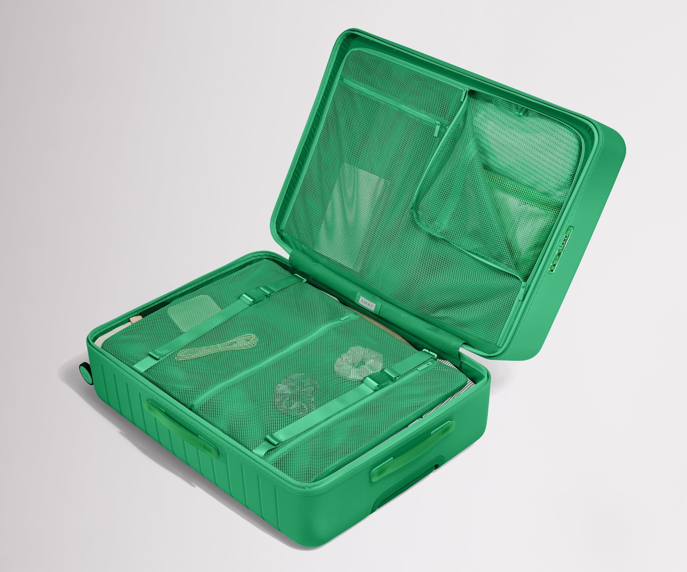 The Medium in Palm Green