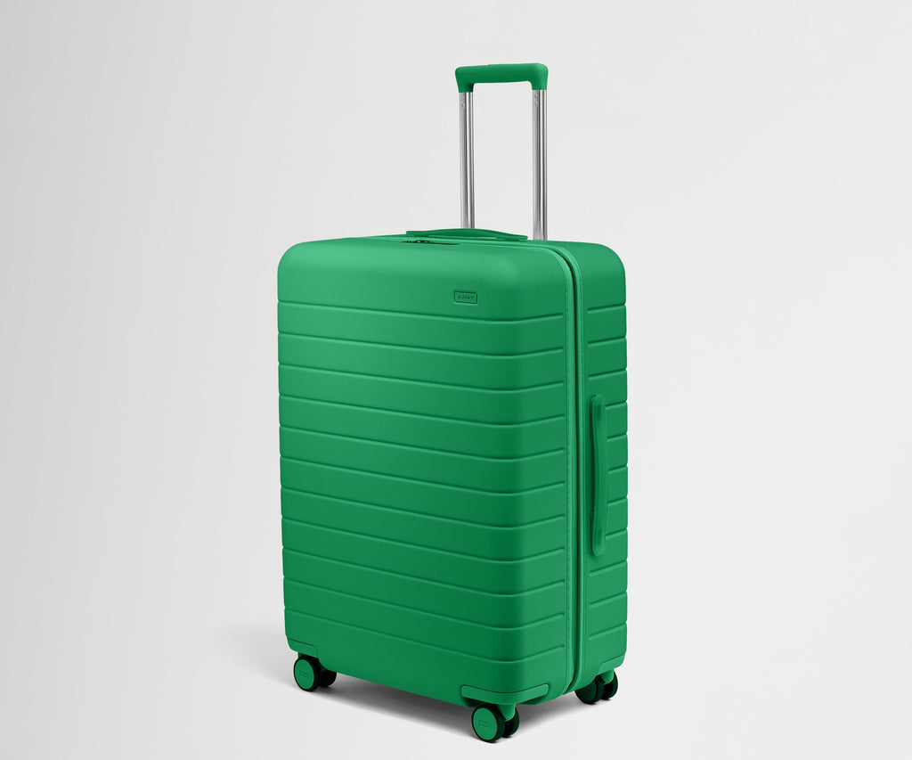 The Medium in Palm Green